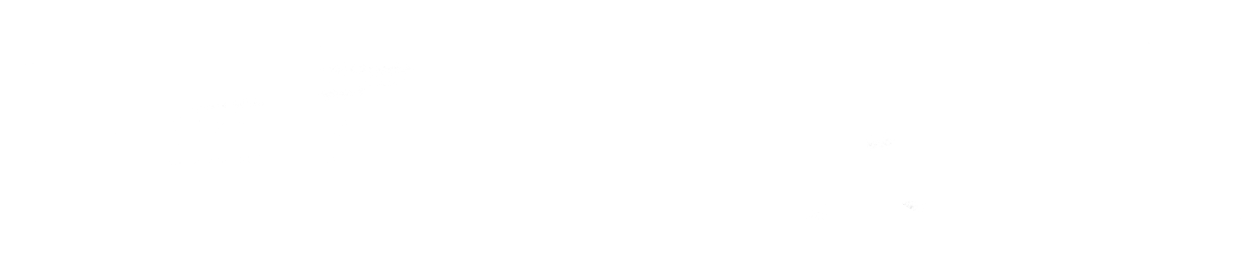 Logo Nacon partenar of Plug In Digital